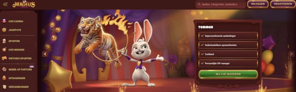 magius app downloaden